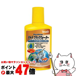 yő400~OFFN[|zXyNguYWp eg ubNEH[^[ 250mlyhappiestzySBTz(6033109)