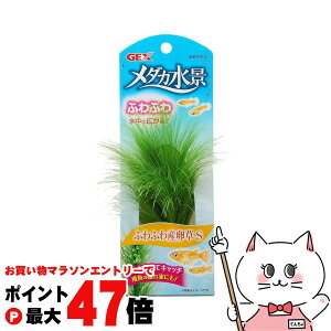 y}\ő47{zWFbNX _JiӂӂYSyhappiestzySBTz (6034170)