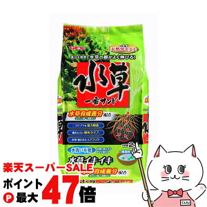 yő400~OFFN[|zWFbNX ԃTh 2kgyhappiestzySBTz (6034171)