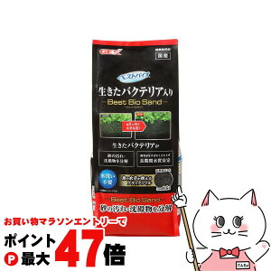 y}\ő47{zWFbNX xXgoCITh 0.6LyhappiestzySBTz (6034179)