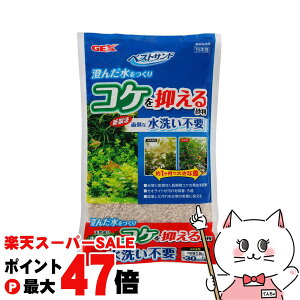 yő400~OFFN[|zWFbNX xXgTh 1.5LyhappiestzySBTz (6034203)