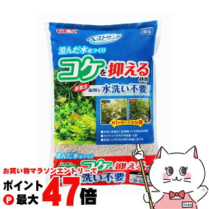 y}\ő47{zWFbNX xXgTh 3LyhappiestzySBTz (6034204)