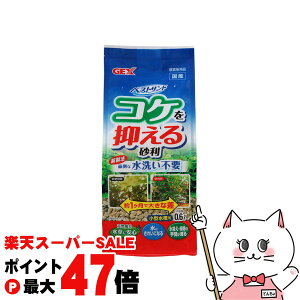 yő400~OFFN[|zWFbNX xXgTh 0.6LyhappiestzySBTz (6034209)