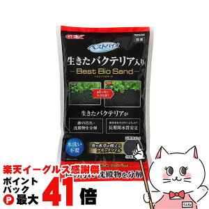 y}\ő47{zWFbNX xXgoCITh 1.5LyhappiestzySBTz (6034210)