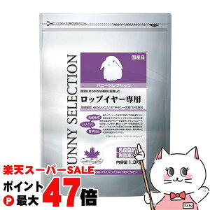 yő400~OFFN[|zC[X^[ oj[ZNV bvC[p1.3kgyhappiestzy120TCYzyz֑z(6034693)