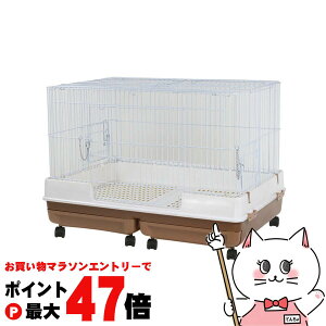 y}\ő47{z}J ̃J^P[W ChByhappiestzy200TCYzyz֑ziƂ̓s (6035193)