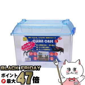 yubNtCf[zOW N[P[X Lyhappiestzyz֑z(6035344)