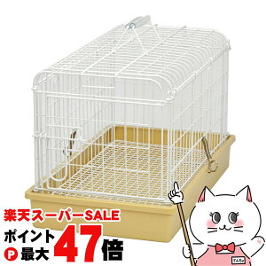 yő400~OFFN[|zOW CgL[yhappiestzyz֑ziƂ̓s (6035356)