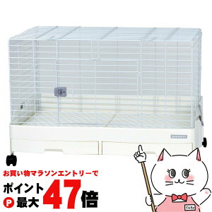 yő400~OFFN[|zOW C[W[z[ G{ 80-WH(2XmRdl)yhappiestzy160TCYzyz֑ziƂ̓s (6035669)