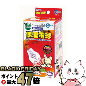 yyVC[OXӍՁz}J ۉd 40WyhappiestzySBTz (6035980)