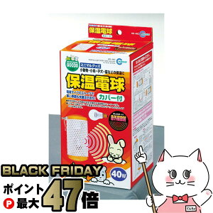 yyVC[OXӍՁz}J ۉd Jo[t 40Wyhappiestzyz֑z (6035981)