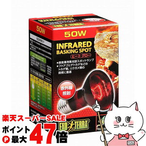 yő400~OFFN[|zWFbNX q[gO[ԊOƎ˃X|bg v 50WyhappiestzySBTz (6037352)