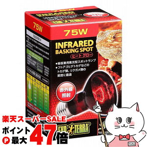 yő400~OFFN[|zyubNtCf[zWFbNX q[gO[ԊOƎ˃X|bg v 75WyhappiestzySBTz (6037354)