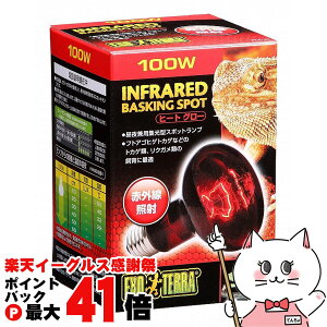 y}\ő47{zWFbNX q[gO[ԊOƎ˃X|bg v 100WyhappiestzySBTz (6037355)