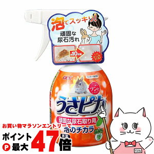 y}\ő47{zWFbNX sJ łȔA΂ɁyhappiestzySBTz (6037787)