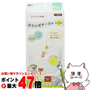 yő400~OFFN[|zWFbNX nr ۃT[N HighyhappiestzySBTz(6040440)