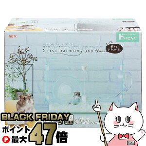 yubNtCf[zWFbNX nr OXn[j[360vXyhappiestzyz֑ziƂ̓s(6040441)