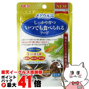 y}\ő47{zWFbNX _JC łHׂt[h 㐫 15gyhappiestzySBTz(6040452)