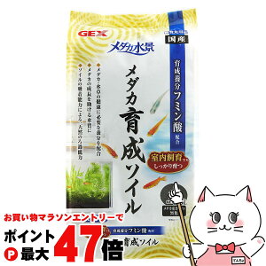 y}\ő47{zWFbNX _Ji _J琬\C 2.5LyhappiestzySBTz(6040472)