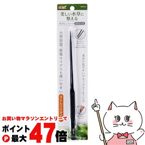 yő400~OFFN[|zWFbNX sZbg Xg[gyhappiestzySBTz(6040502)