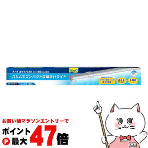 y}\ő47{zXyNguYWp eg XChLED 45`60cmpyhappiestzyz֑z(6041443)