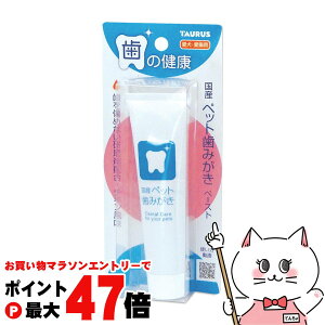 y}\ő47{zg[X Y ybg݂ 38gyhappiestzySBTz(6041567)