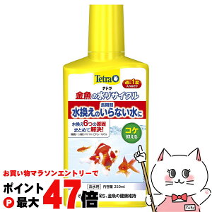 y}\ő47{zXyNguYWp eg ̐TCN 250mlyhappiestzySBTz (6042765)