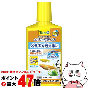 y}\ő47{zXyNguYWp eg _J̐ 250mlyhappiestzySBTz (6042775)