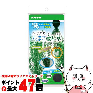 y}\ő47{z}J _Ĵ܂YݑyhappiestzySBTz (6042870)