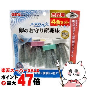 yő400~OFFN[|zWFbNX _JC ̂ Y4FZbgyhappiestzySBTz (6042886)