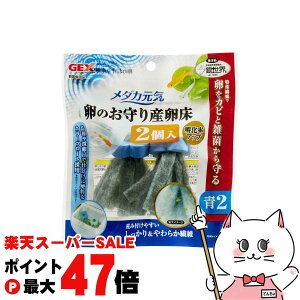 yő400~OFFN[|zWFbNX _JC ̂Y  2yhappiestzySBTz (6046612)