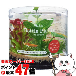 yő400~OFFN[|zWFbNX i {gvc AkrAXyhappiestzySBTz (6046652)