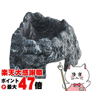 �y�y�V�労�ӍՍő�47�{�z�W�F�b�N�X �G�L�]�e�� ���C�X�g�V�F���^�[ �R�[�i�[ 130�yhappiest�z�y��z�֑��������z (6046665)