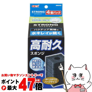 y}\ő47{zWFbNX J{[CM XgOX|W 4pbNyhappiestzySBTz (6046657)