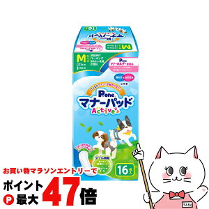 yő400~OFFN[|zP.one j̎q&̎qp }i[pbhActive MTCY 16yhappiestzySBTz (6046736)