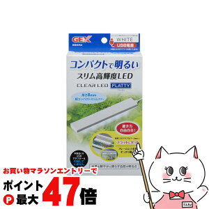 y}\ő47{zWFbNX NALED tbeB zCgyhappiestzySBTz(6050365)