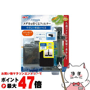 y}\ő47{zWFbNX _JC _JĂtB^[ZbgyhappiestzySBTz(6050367)