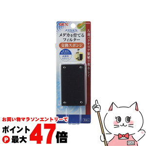 y}\ő47{zWFbNX _JC _JĂtB^[X|WyhappiestzySBTz(6050368)