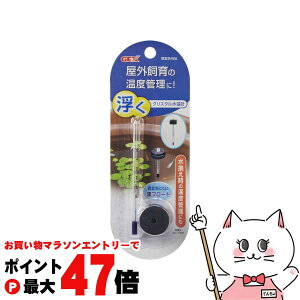 y}\ő47{zWFbNX NX^vyhappiestzySBTz(6050385)