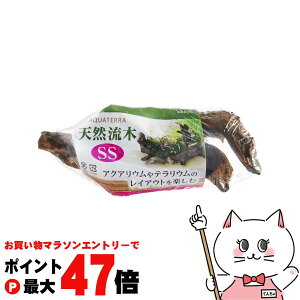 y}\ő47{zWFbNX VR SSyhappiestzySBTz(6050404)