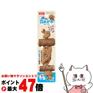 y}\ő47{z}J ݂؃vX vSyhappiestzySBTz(6050980)