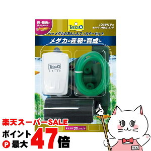 yő400~OFFN[|zXyNg uY Wp eg _Ĵ񂵂tB^[ZbgyhappiestzySBTz(6051718)