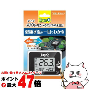 y}\ő47{zXyNg uY Wp eg _Jׂ̕fW^vyhappiestzySBTz(6051744)