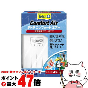 yő400~OFFN[|zXyNg uY Wp eg RtH[gGA[ 45yhappiestzySBTz(6051756)