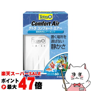 yő400~OFFN[|zXyNg uY Wp eg RtH[gGA[ 60yhappiestzySBTz(6051757)