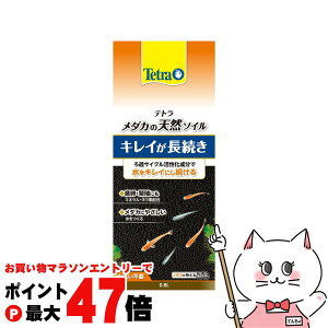 yő400~OFFN[|zXyNg uY Wp eg _J̓VR\C 0.8LyhappiestzySBTz(6051761)