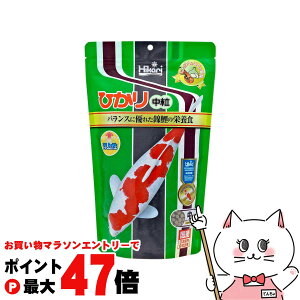 y}\ő47{zL[ Ђ  400gyhappiestzySBTz(6052518)