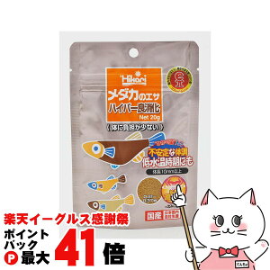 y}\ő47{zL[ _J̃GT nCp[Ǐ 20gyhappiestzySBTz(6052564)