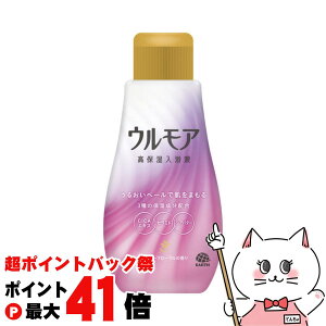 y|CgobNՍő41{zA[X EA ێt N[~[t[̍ 600mlypϗ  {́z yz֑z (6062401)