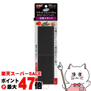 yő400~OFFN[|zxXgJ BBtB^[ X|W 2yhappiestzySBTz(6054458)